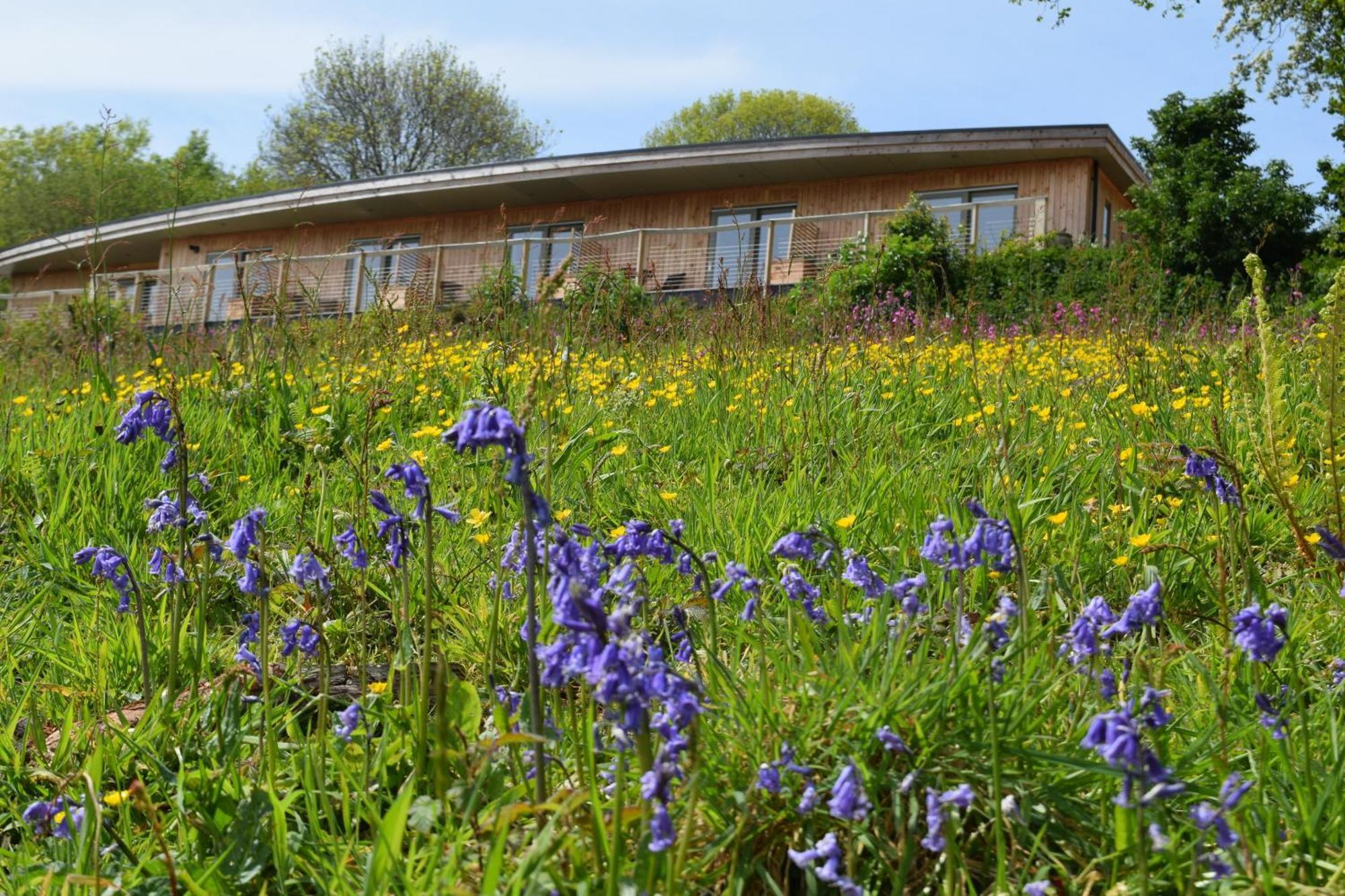 The Sanctuary Cornwall Golant Exterior foto